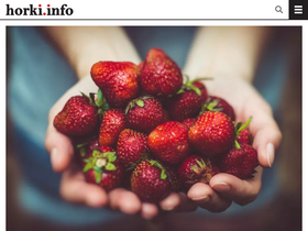 'horki.info' screenshot