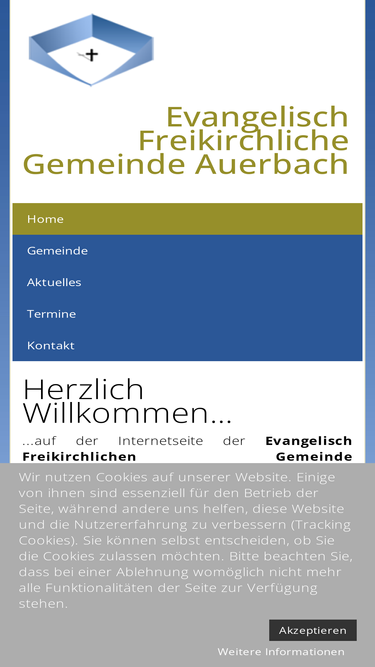 efg-auerbach.eu