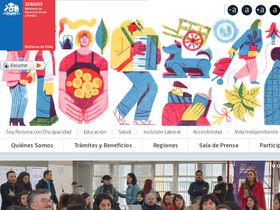 'senadis.gob.cl' screenshot