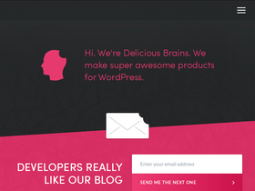 'deliciousbrains.com' screenshot