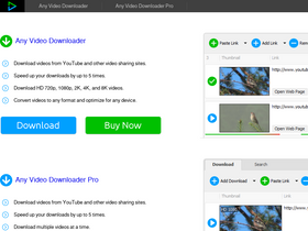 anyvideosoftware.com