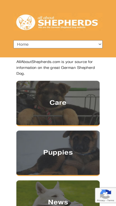 allaboutshepherds.com