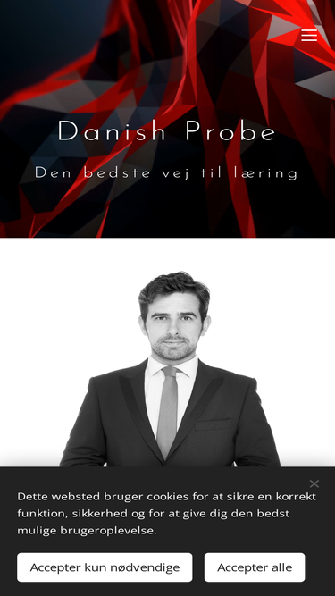 danishprobe.com