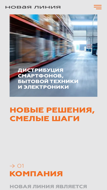 nlgsm.ru