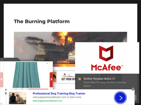 'theburningplatform.com' screenshot