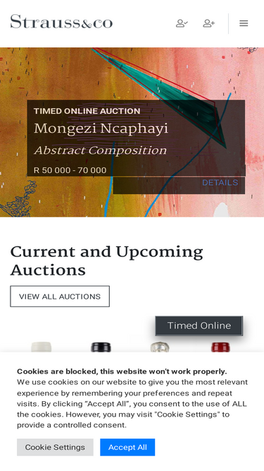 straussart.co.za