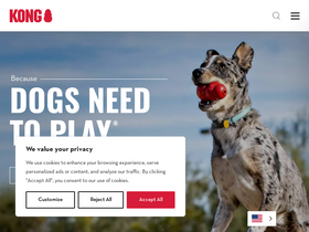 'kongcompany.com' screenshot