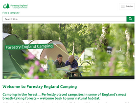 'campingintheforest.co.uk' screenshot