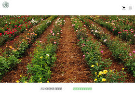 'shinomiya-rose.com' screenshot