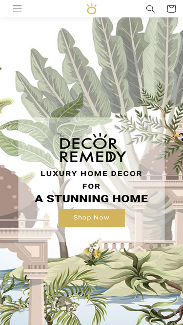 thedecorremedy.com