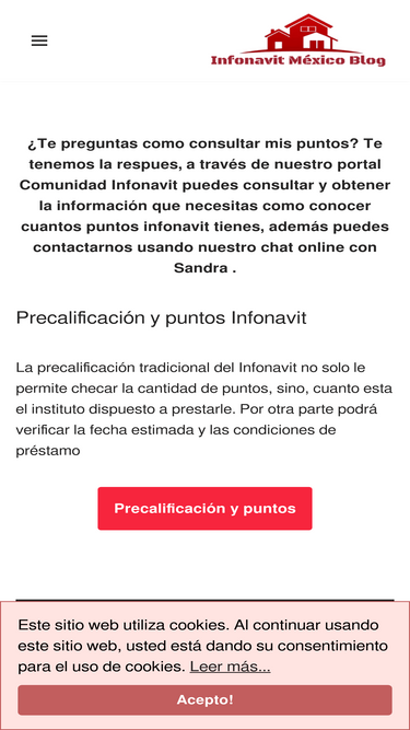 infonavitmexico.com