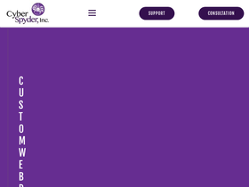 cyberspyder.com