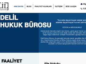 'delilavukatlik.com' screenshot