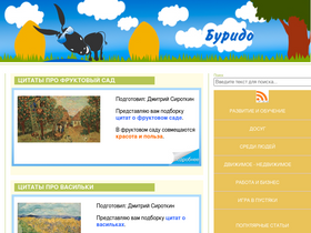 'burido.ru' screenshot