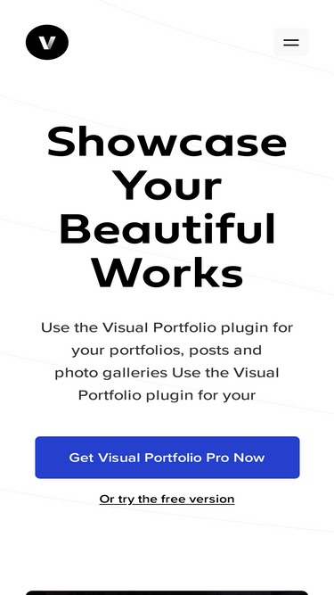 visualportfolio.co
