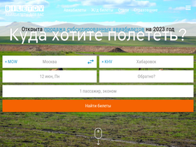 'biletdv.ru' screenshot