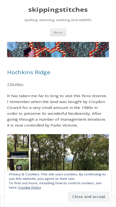 skippingstitches.wordpress.com