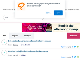 'anneleresor.com' screenshot