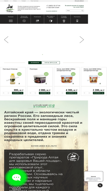 hidalgo-altai.ru