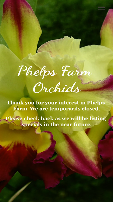 phelpsfarm.com