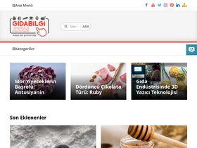 'gidabilgi.com' screenshot