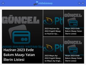 'evdebakimparasi.com' screenshot