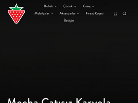 Website Logo