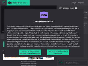 'robotstreamer.com' screenshot