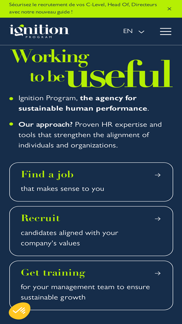 ignition-program.com