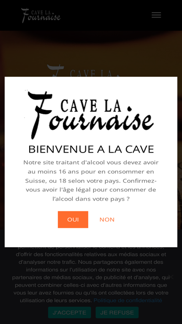 cavefournaise.ch