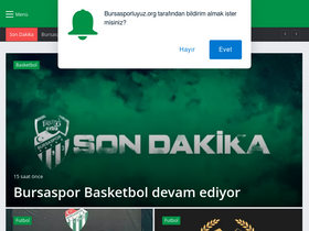 'bursasporluyuz.org' screenshot