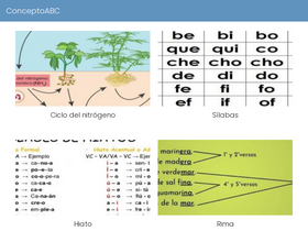 'conceptoabc.com' screenshot