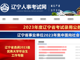 'lnrsks.com' screenshot