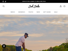 'badbirdiegolf.com' screenshot