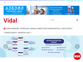 'vidal.ge' screenshot