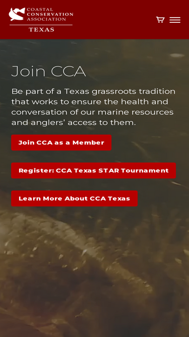 ccatexas.org