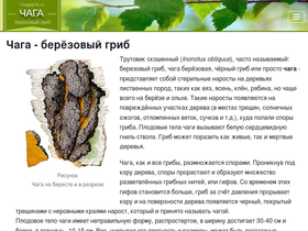 chagagrib.ru