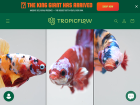 tropicflow.com