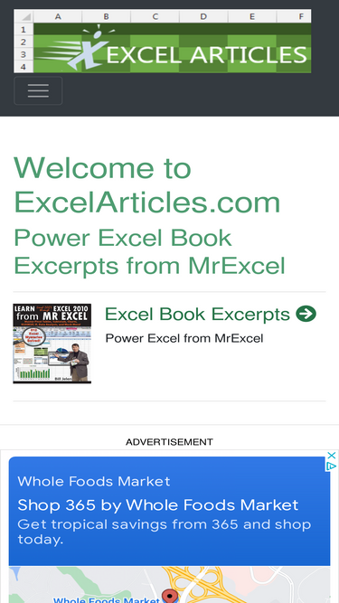 excelarticles.com
