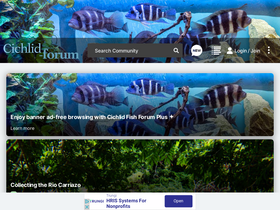 'cichlid-forum.com' screenshot