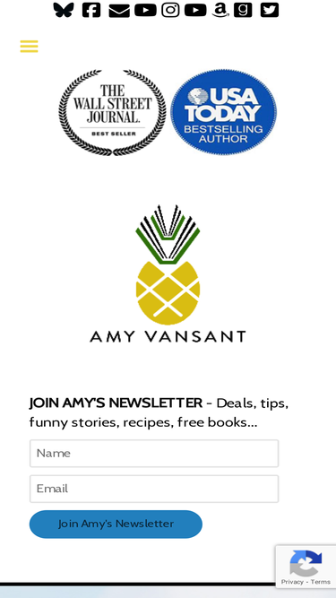 amyvansant.com