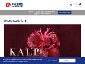 'amerikanhastanesi.org' screenshot