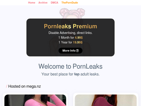 'pornleaks.in' screenshot