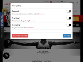 'basketzone.net' screenshot