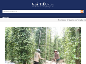 giatieu.com