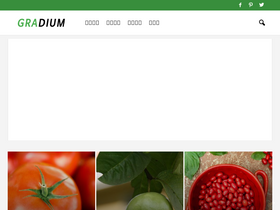 'gradium.co.kr' screenshot