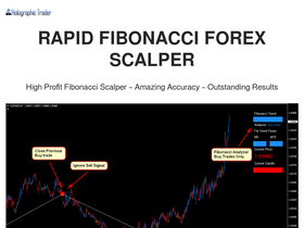 'holographictraders.com' screenshot