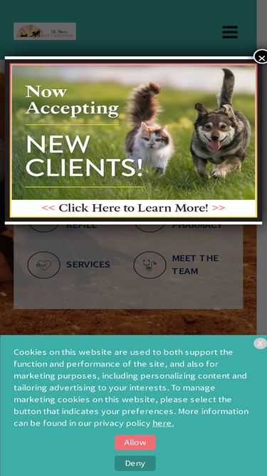 stbonipethospital.com