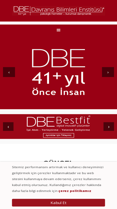 dbe.com.tr
