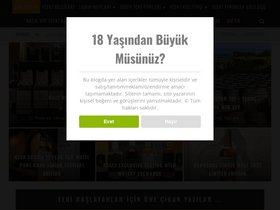 'veviski.com' screenshot